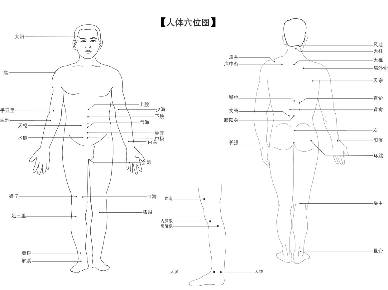 【人体经络】