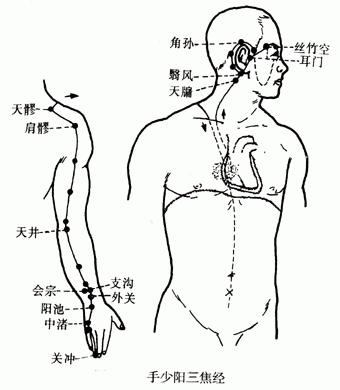 【人体经络】手少阳三焦经