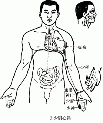 【人体经络】手少阴心经