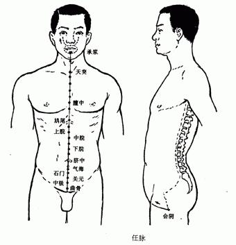 【人体经络】任脉