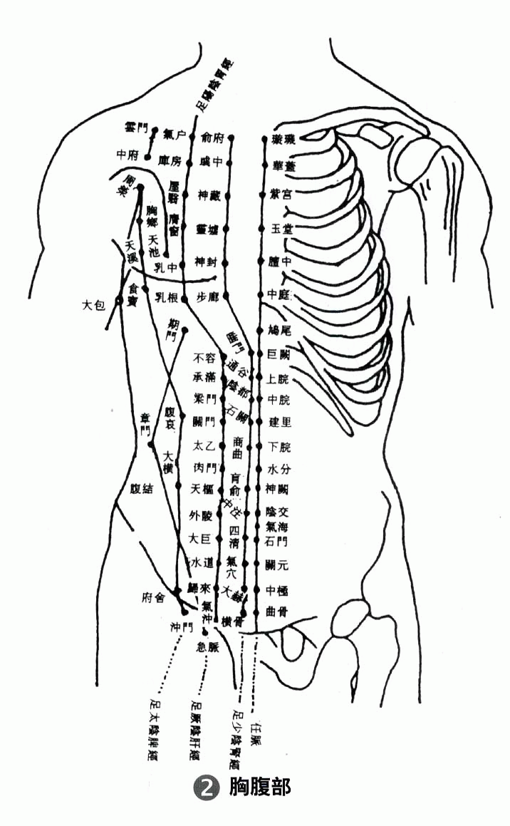 【人体经络】胸腹部