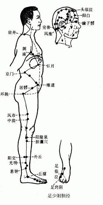 【人体经络】足少阳胆经